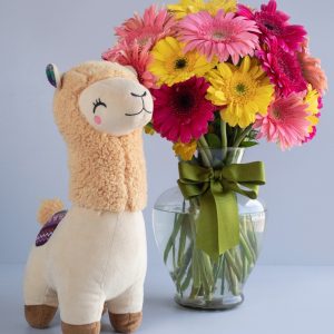 Gerberas y Peluche 01