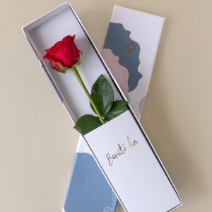 Rosa en Caja